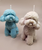 Perro caniche (molde de silicona)
