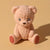 Oso de peluche teddy / (molde de silicona)