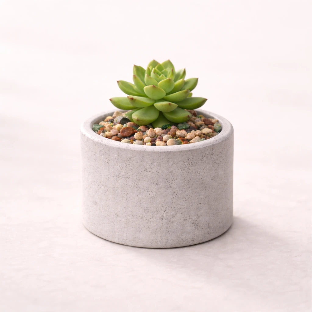 Maceta circular x3 (molde de silicona)