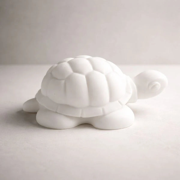 Tortuga (molde de silicona)