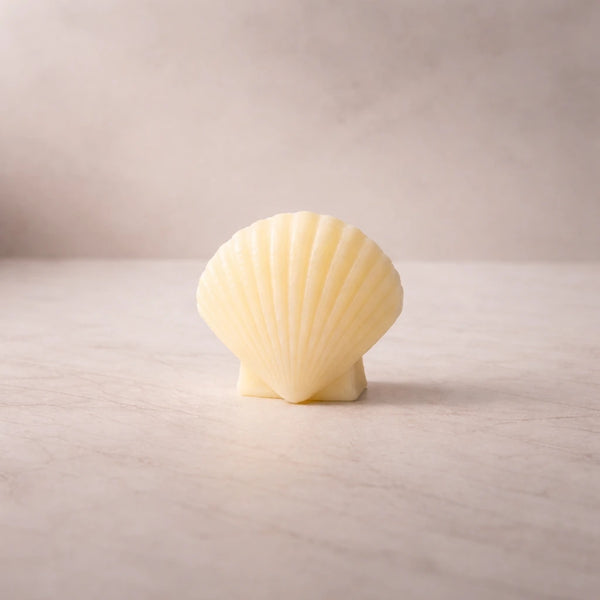 Mini almeja / ostra de mar (molde de silicona)