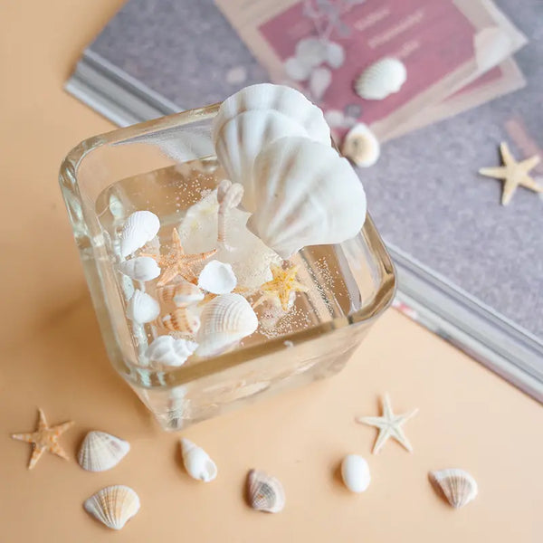 Estrellas, almejas y caracoles de mar para decoración (insumo)