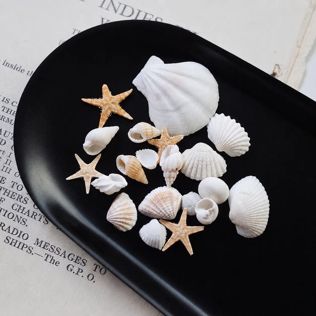 Estrellas, almejas y caracoles de mar para decoración (insumo)