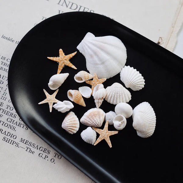 Estrellas, almejas y caracoles de mar para decoración (insumo)