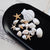 Estrellas, almejas y caracoles de mar para decoración (insumo)