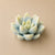 Suculenta tipo echeveria (molde de silicona)